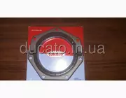 Сальник коленвала задний 114 мм Fiat Ducato 230 (1994-2002) 2.8, 504086314, CO12016920B